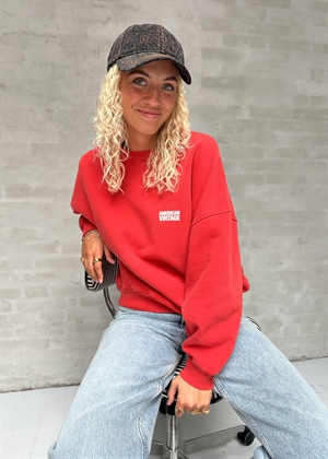 Plizzy sweat Vintage Volcano American Vintage 
